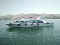 Bateau à passagers de ferry touristique de 15,8 m pour le mariage de transport et de fête