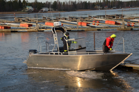 Bateau en aluminium offshore à polissage silencieux